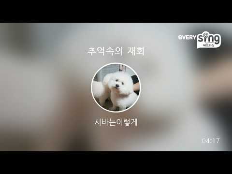 [everysing] 추억속의 재회