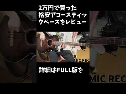 【Ibanez】格安アコースティックベースをレビュー！【アコベ】 #bass #ibanez #acoustic #acousticguitar