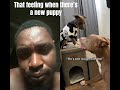 That feeling when there’s a new puppy #puppy #newpuppy #puppyspot #lovepup #happypuppy #bestpuppy