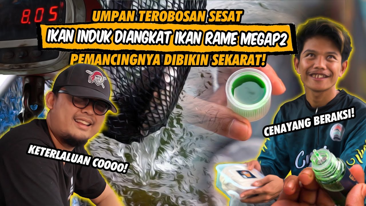 MANCING BANYAK COBAAN UMPANNYA DILUAR NALAR, DAIDO VENDETTA DIPAKSA UNTUK MELAWAN! 😱😱