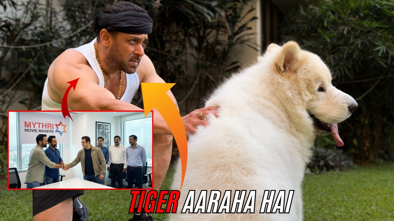 SALMAN KHAN NEW LOOK IS🔥|SALMAN KHAN NEXT MOVIE|SALMAN KHAN NEXT BIG UPDATE|