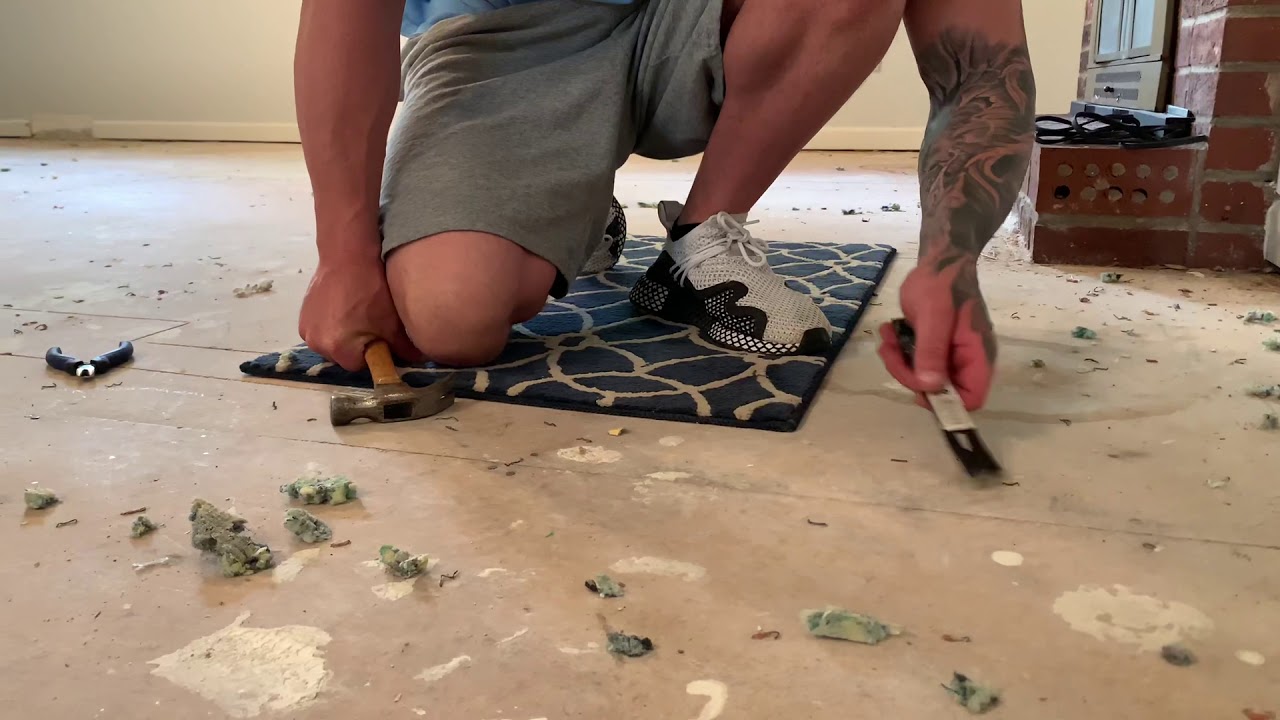 Staple Removal from Floor YouTube