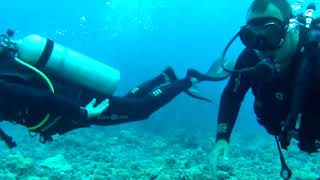 Tikehau 11112017