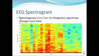 BioRadio Webinar: Basic Frequency Analysis for Physiology