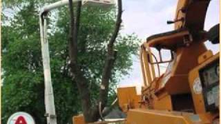 Marks Tree Service, Schenectady-Guilderland Ctr NY