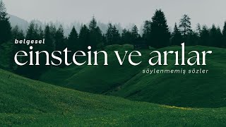 Ei̇nstei̇n Ve Arilar - Söylenmemiş Sözler
