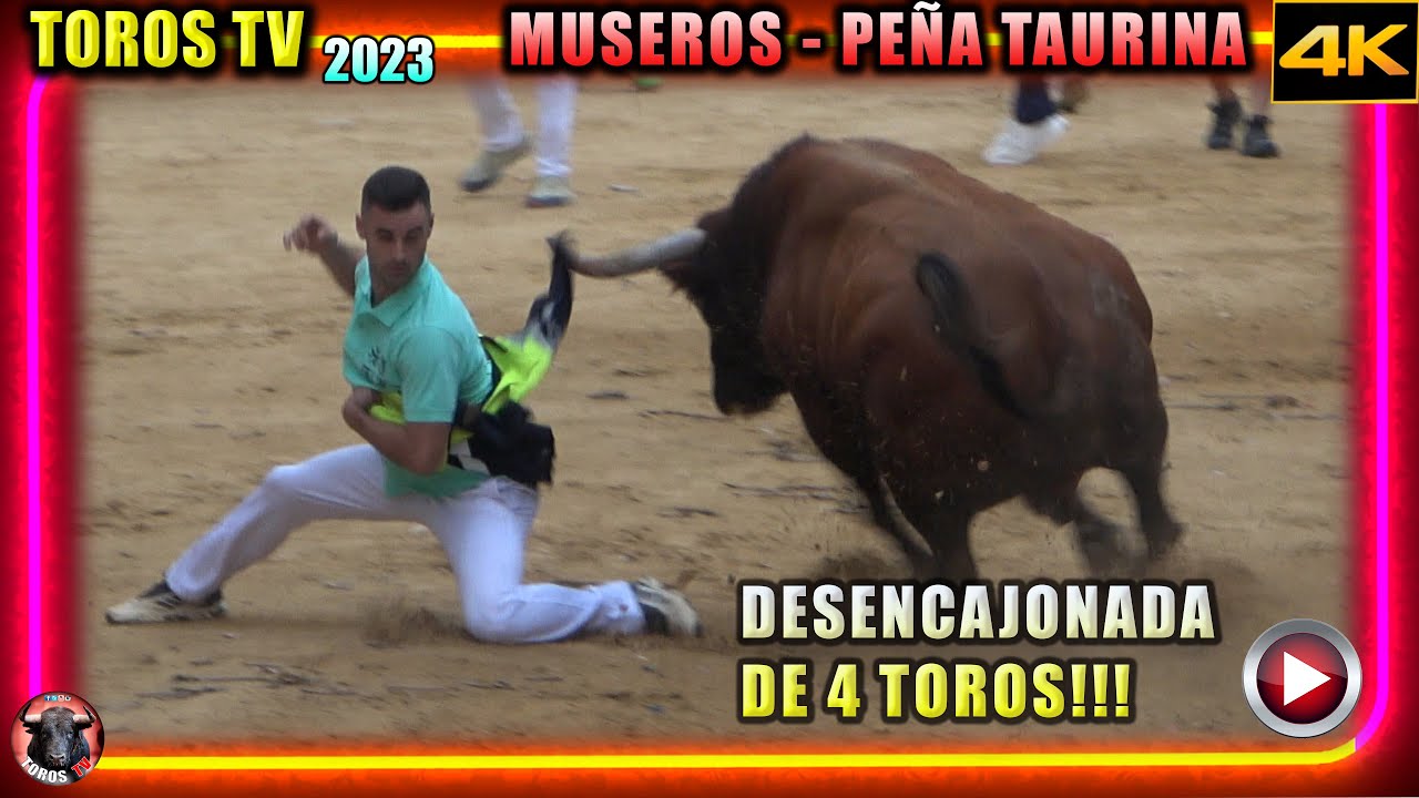 😱😱 Desencajonada, Museros,Torrestrella, Sergio Centelles, El Torero y Guadalmena Bravura Toros tv