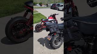 Would You Keep Your Honda Monkey 125 Stock? Or Modify It.