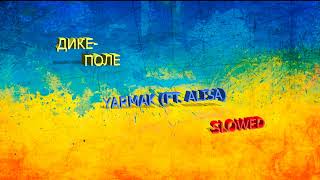 картинка: Дике Поле (slowed)