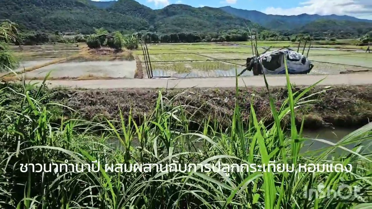 Ep.65 ขายสวนมะม่วงวิวหลักล้าน