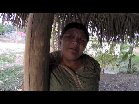 t.e.a-san-miguel,-guesthouse,-belize,-toledo-ecotourism-association