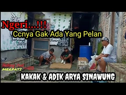 GREBEG PETERNAK ARYA SINAWUNG...Review Kakak dan Adiknya