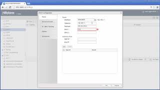 Hillstone 07 DHCP configuration