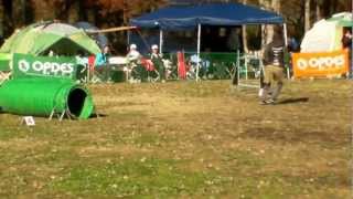 2012.12　ロビン　NV1　.MP4