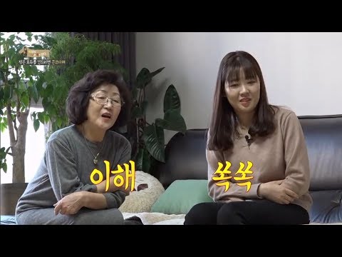 [펫다이어리/세나개] 수월하게 반려견 산책 준비하기