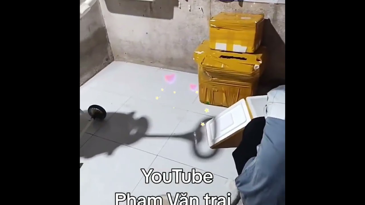 Lk nhạc hải ngoại nữ nhập ngũ đi J 💃🏻🕺🏻💃🏻🕺🏻💖💝