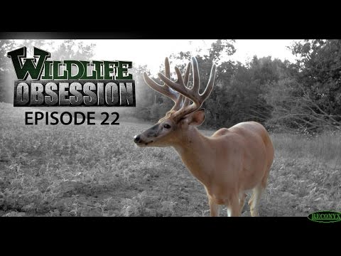 Wildlife Obsession Ep. 22 (Mark Drury | Terry Drury | Matt Drury) - Wildlife Obsession Ep. 22 (Mark Drury | Terry Drury | Matt Drury)