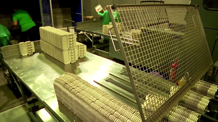 Ukrainian student turns leaves into paper