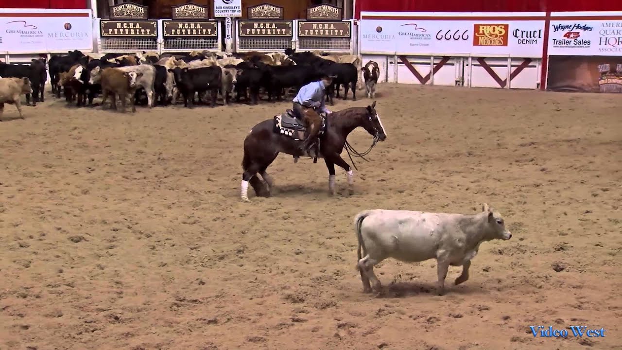 Cromed Out Cat - 2015 NCHA Futurity - Open Futurity Finals