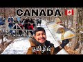 Only once in a year in CANADA?😮∣ MAPLE SYRUP FACTORY ∣ தமிழில் #canada #tamil #fun #vlog #tourism