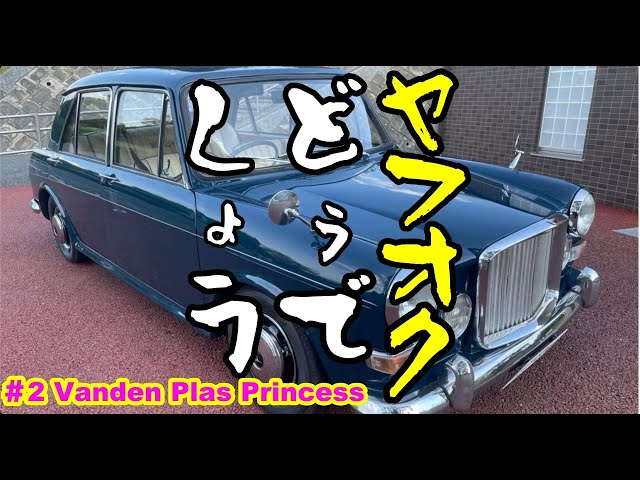 ヤフオクどうでしょう！】世界が誇るバンプラちゃん！昨日の急上昇中の