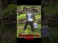 全国で一番幸せな子猫 #忘れてはいけない