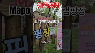 #반려동물캠핑장 #korea #hangang