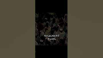 هنالك دعا زكريا ربه #تلاوات #تلاوه #تلاوة_خاشعة #قران_كريم #قرآن #لايك #تيك_توك #ترند #اكسبلور