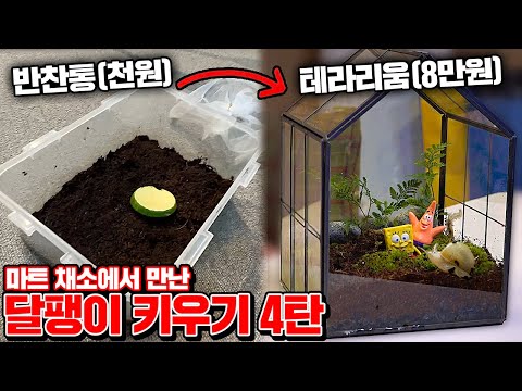 (<strong>고급주택</strong> 이사 대작전!!) [꾹TV]