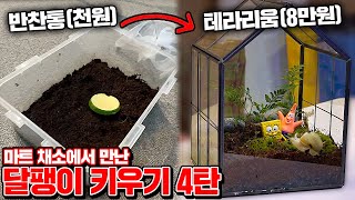 Building a Private House for My Snail in Real Life!!