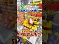 【ゲーセン】取れないと噂のモーリーファンタジーで、1000円使ったら景品何個取れるのか検証してみた🔥(クレーンゲーム)