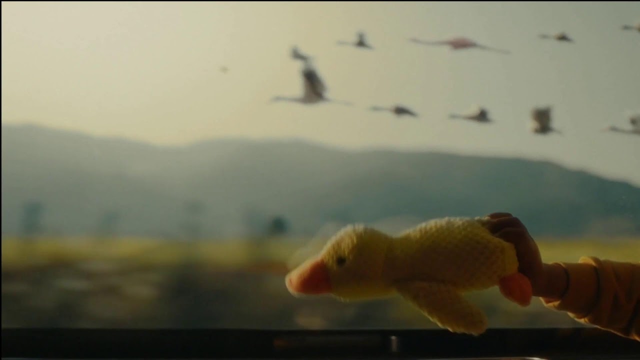 KroneTV - Live Nachrichten, Dokus, Reportagen, Serien und Sport | Jetzt auf YouTube streamen!