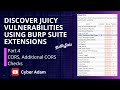 Discover Juicy Vulnerabilities Using BurpSuite Extensions - Additional CORS Checks - Part 4