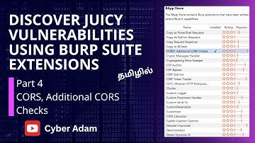 Discover Juicy Vulnerabilities Using BurpSuite Extensions - Additional CORS Checks - Part 4