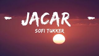 SOFI TUKKER - Jacaré (Lyrics)  | 25 Min