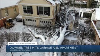 Downed tree hits Lexington family's garage and apartment, no one hurt
