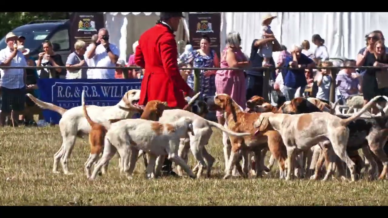 Parade of Hounds monmouthshire show aug 2025
