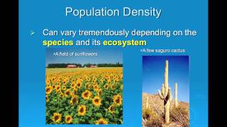 Celebrity 5-1 How Populations Grow- 1 of 2 Profile