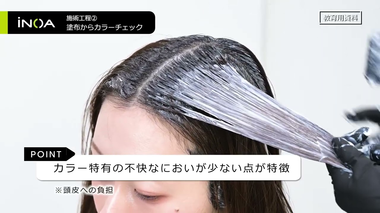 イノアカラー 3.00(エクストラブラウン) 60g 【医薬部外品】の卸・通販