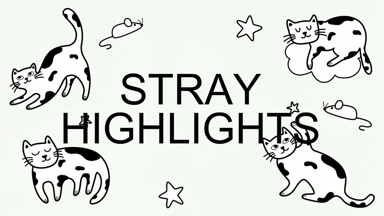 STRAY HIGHLIGHTS