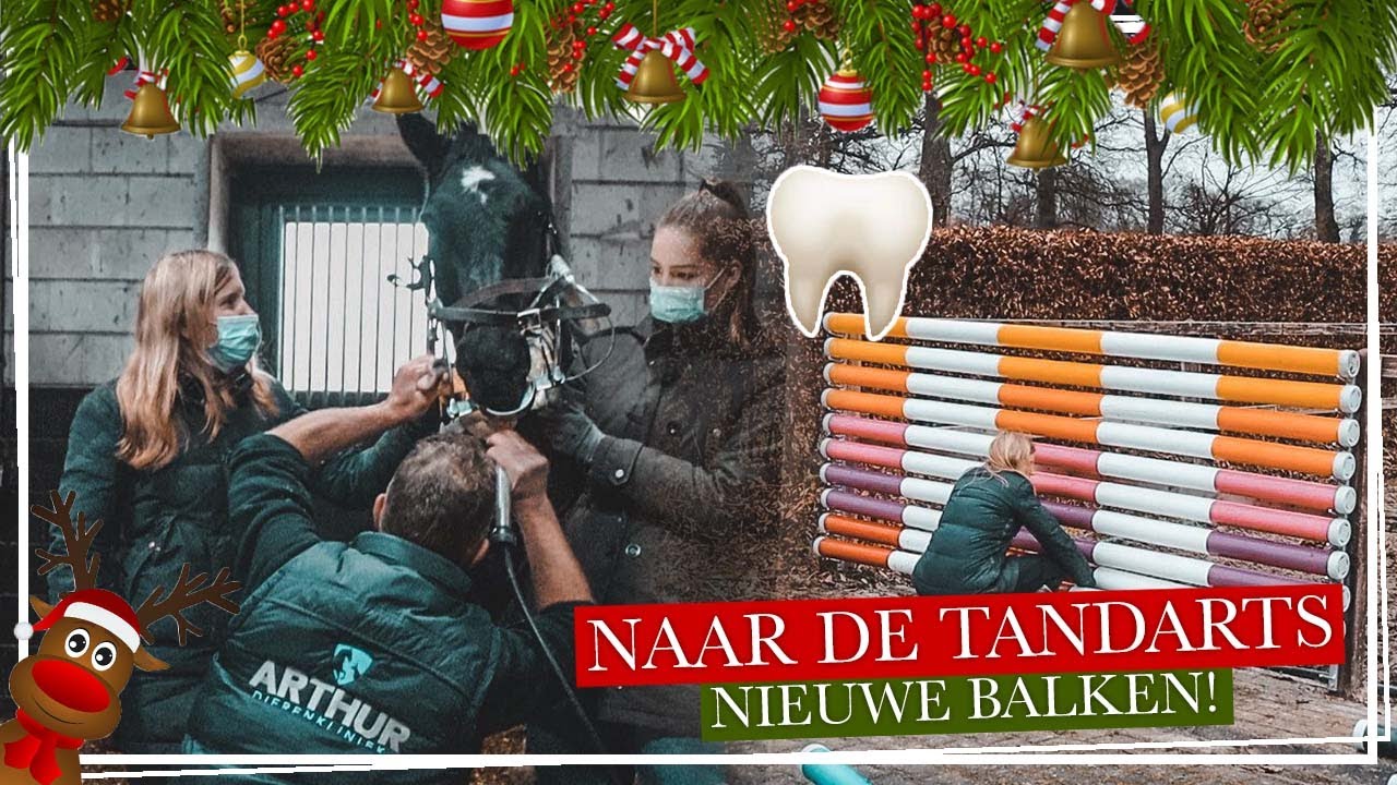 PAARDEN naar de TANDARTS!! + NIEUWE HINDERNISSEN!! || Paardzoektbaas #Vlogmas