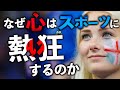 なぜ人の心はスポーツに感動し熱狂してしまうのか