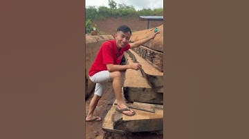 Tại sao được gọi là gỗ cẩm hồng #chiengodo #wood #sonsapgo #gonguyenkhoi #gocamhong