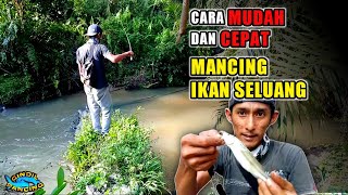Cara Mancing Ikan Seluang || Cepat Dan Banyak Dapat Ikan