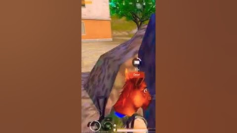 🤣THE REAL BOT SCAM #shorts