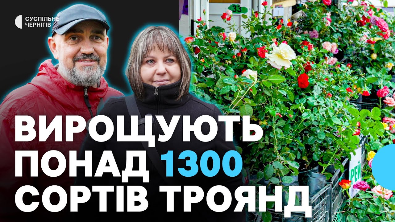 Як продовжує справу бабусі подружжя з Чернігівщини, яке вирощує понад 1300 сортів троянд