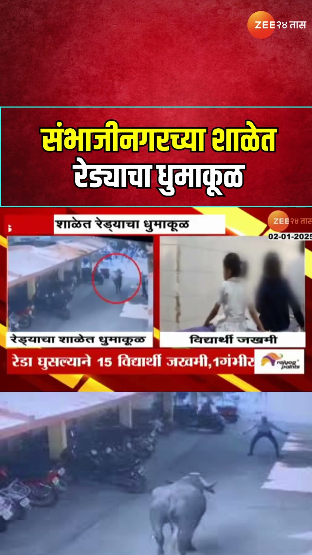 Sambhajinagar Student Injured | संभाजीनगरच्या शाळेत रेड्याचा धुमाकूळ; अनेक विद्यार्थी जखमी