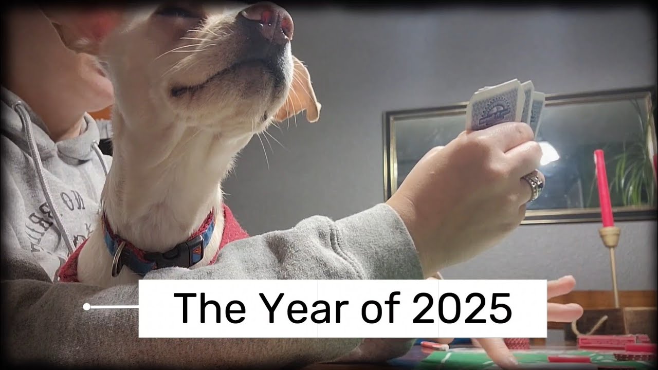 The Year of 2025