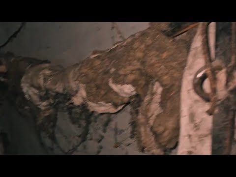 𝐂𝐤𝐡𝐨𝐯𝐫𝐞𝐛𝐚 𝐂𝐮𝐝𝐢 𝐒𝐮𝐫𝐩𝐫𝐢𝐳𝐞𝐛𝐢𝐭 𝐒𝐚𝐯𝐬𝐞𝐚 𝐒𝐚𝐦𝐲𝐚𝐫𝐨 𝐈𝐬𝐞𝐭𝐢 𝐉𝐮𝐬𝐭𝐨𝐤𝐢𝐚 𝐓𝐮 𝐃𝐳𝐚𝐚𝐧 𝐂𝐡𝐚𝐮𝐠𝐫𝐦𝐚𝐯𝐝𝐞𝐛𝐢 𝐆𝐚𝐠𝐚𝐛𝐞𝐫𝐢𝐧𝐞𝐛𝐬