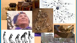 Introduction to Anthropology